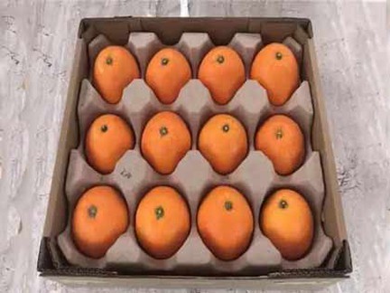 Paper-Tray-for-Orange Paper-Tray-for-Orange